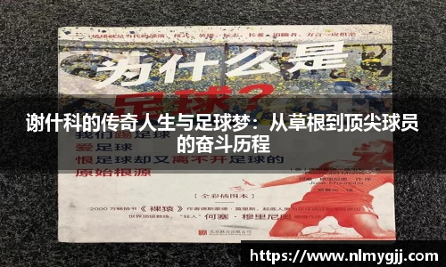 谢什科的传奇人生与足球梦：从草根到顶尖球员的奋斗历程